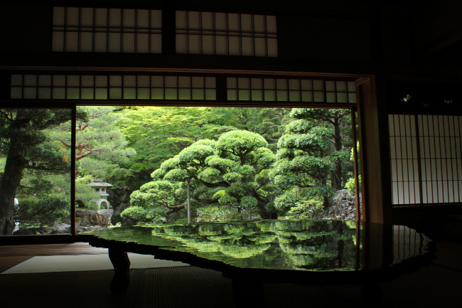 〈Topic ‘22〉新緑を卓子にうつして　旧邸御室「深緑の薫」特別公開