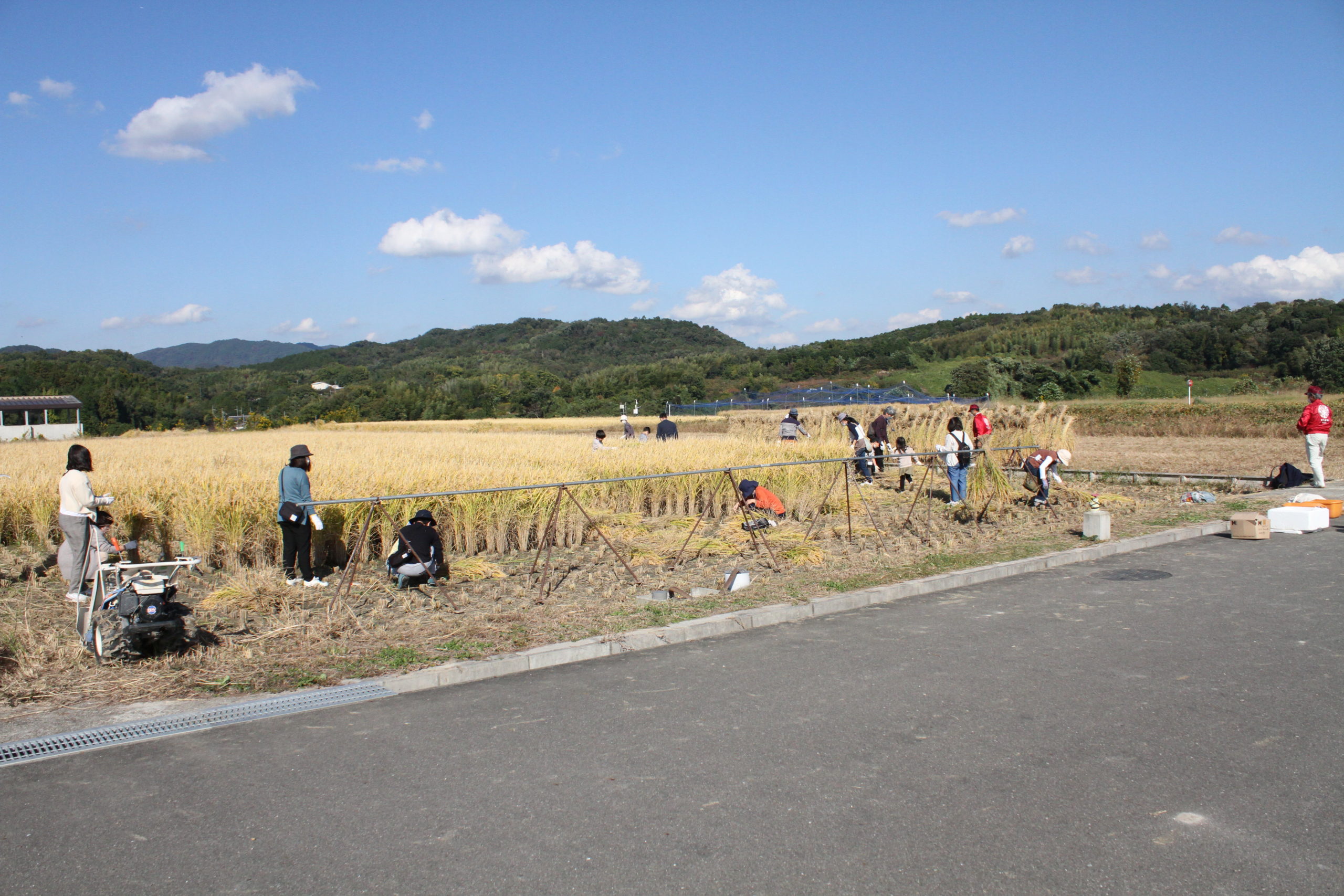 京大農場が一般公開　収穫体験や農場ツアー実施