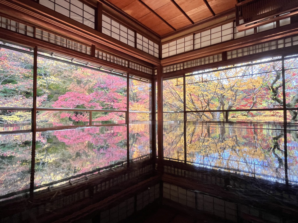 〈Topic ‘22〉反射する京の錦秋　瑠璃光院 秋の特別拝観