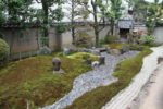 〈Topic ’23〉信長由来の枯山水庭園 見る者の心洗う　真如院 庭園の特別公開