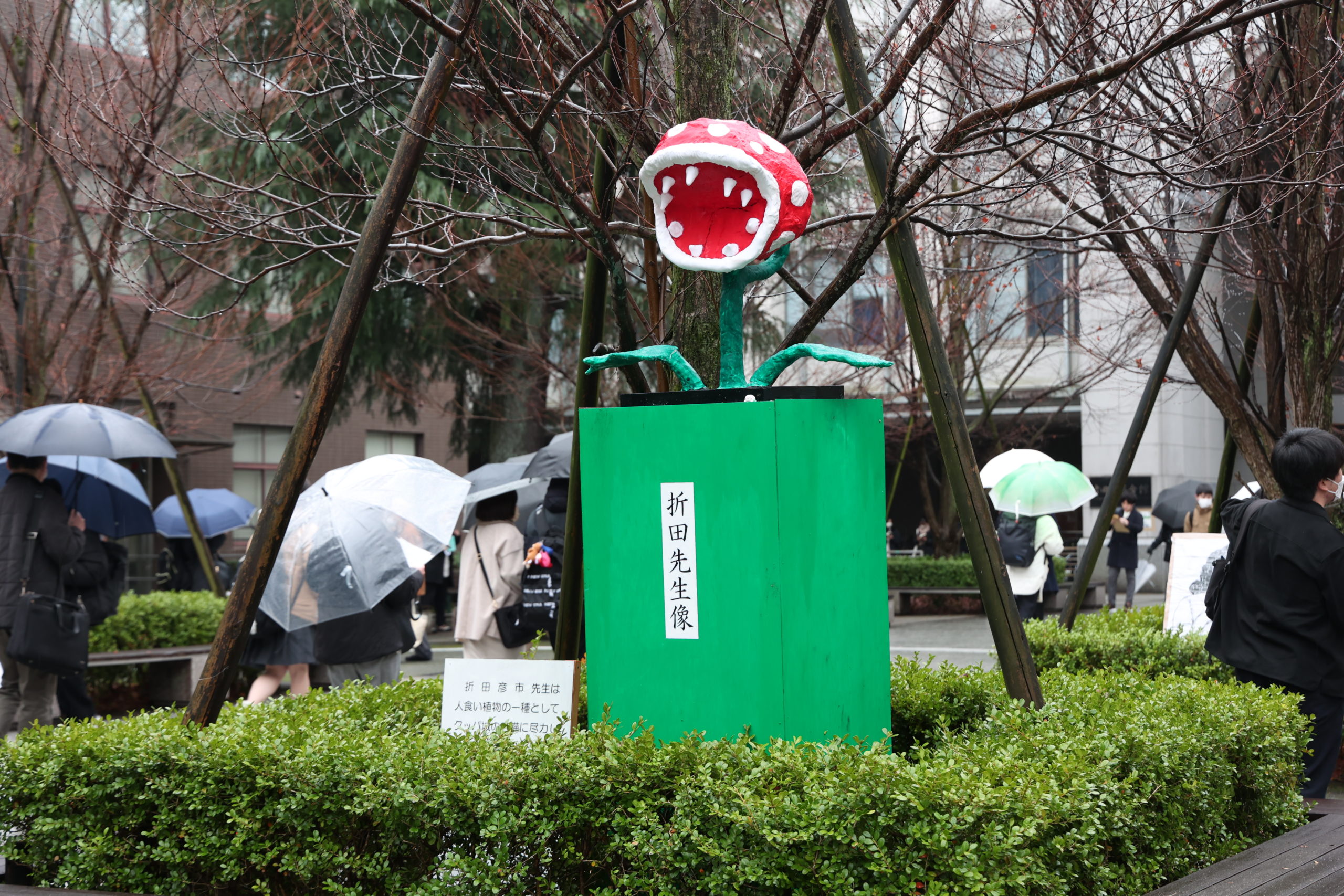 〈Topic ’24〉今年の折田先生は「人食い植物」　京大入試二次試験