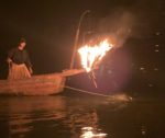 〈Topic ’24〉夕闇にかがり火 照る　嵐山の鵜飼