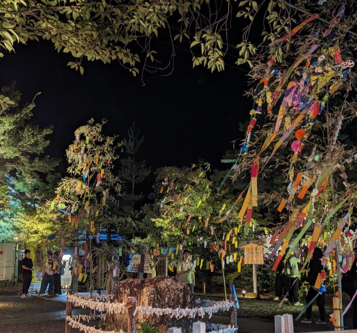 〈Topic ’24〉夜風に揺れる子供たちの願い　高台寺 七夕会・夜間特別拝観