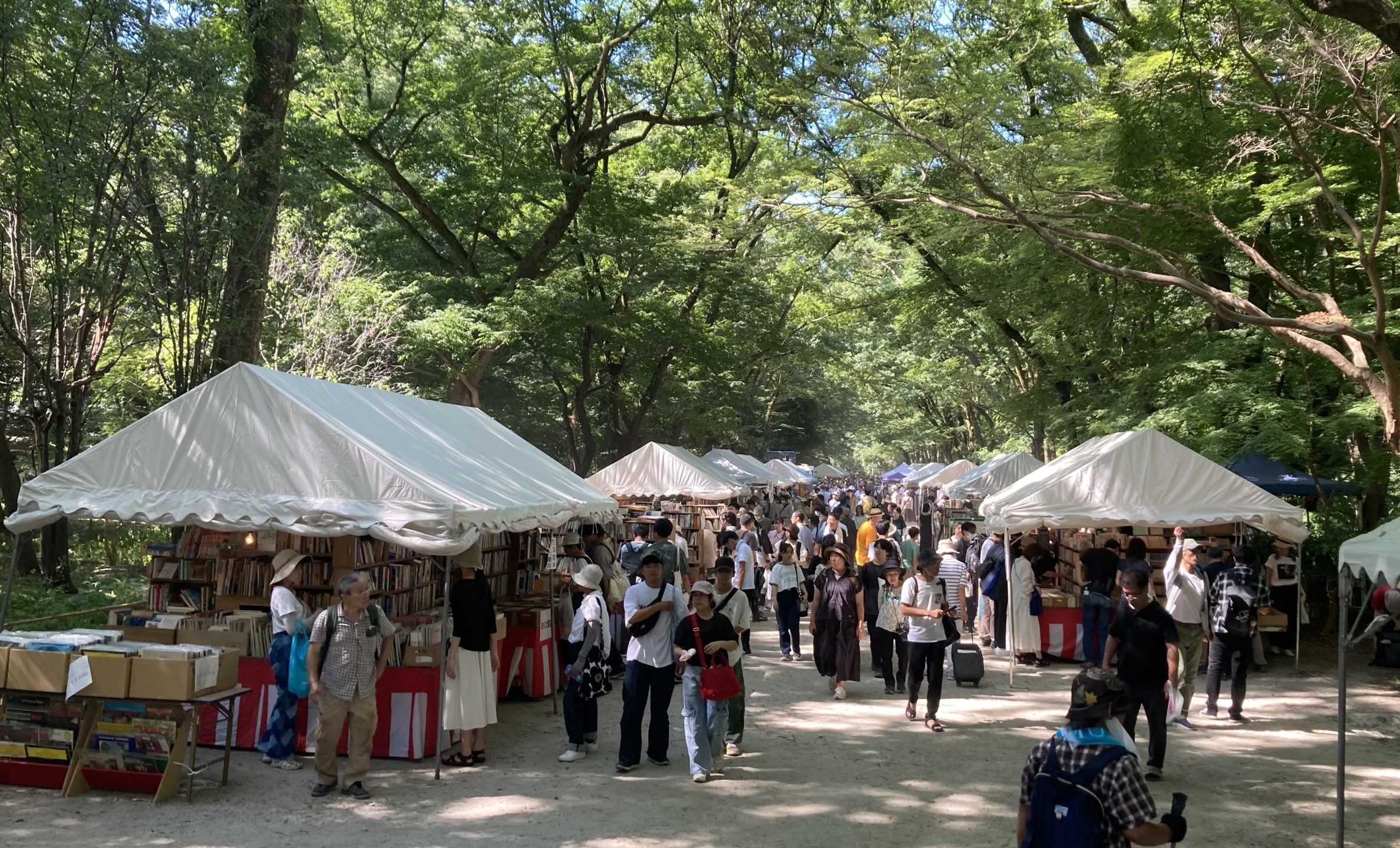 〈Topic ’24〉暑を避け書を求む　下鴨納涼古本まつり
