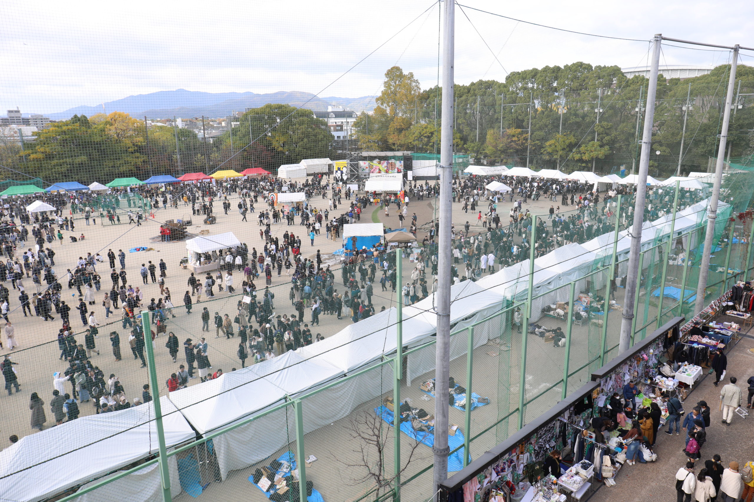 11月祭 酒類提供が再開　事務局「安全性担保できた」