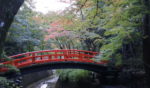〈Topic ’25〉紅葉の中で際立つ鶯橋　北野天満宮「もみじ苑」