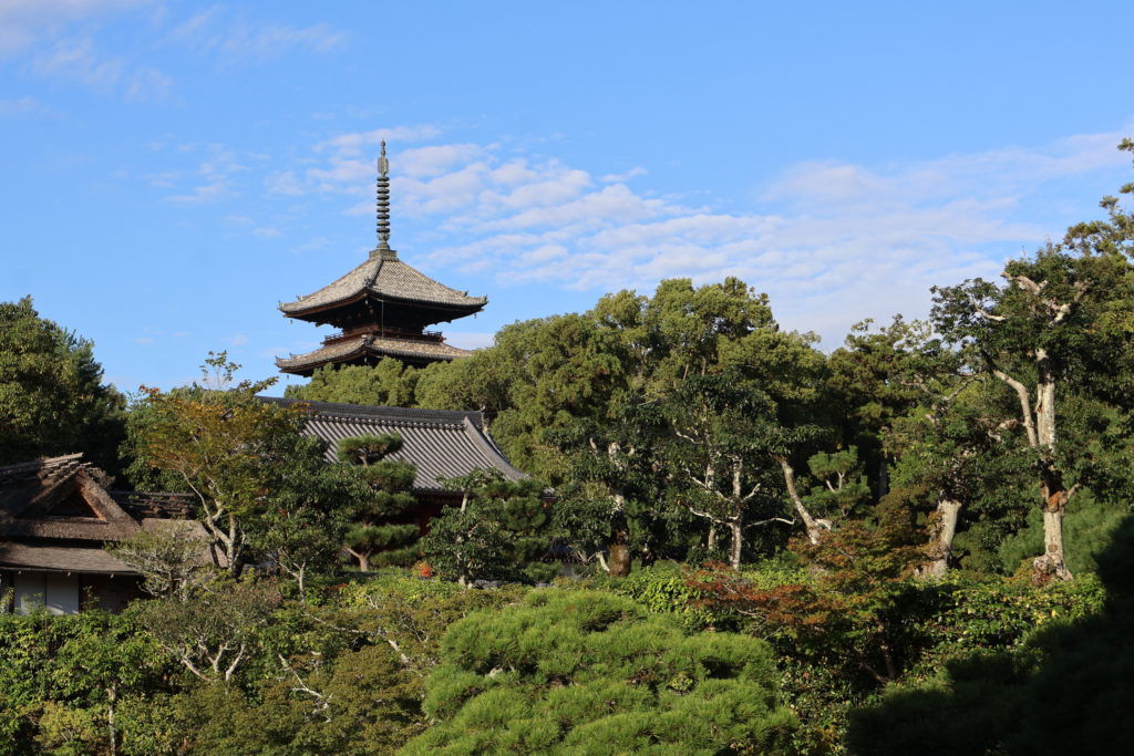 〈Topic ’25〉秋夜に御室紅葉輝く　仁和寺に秋の訪れ