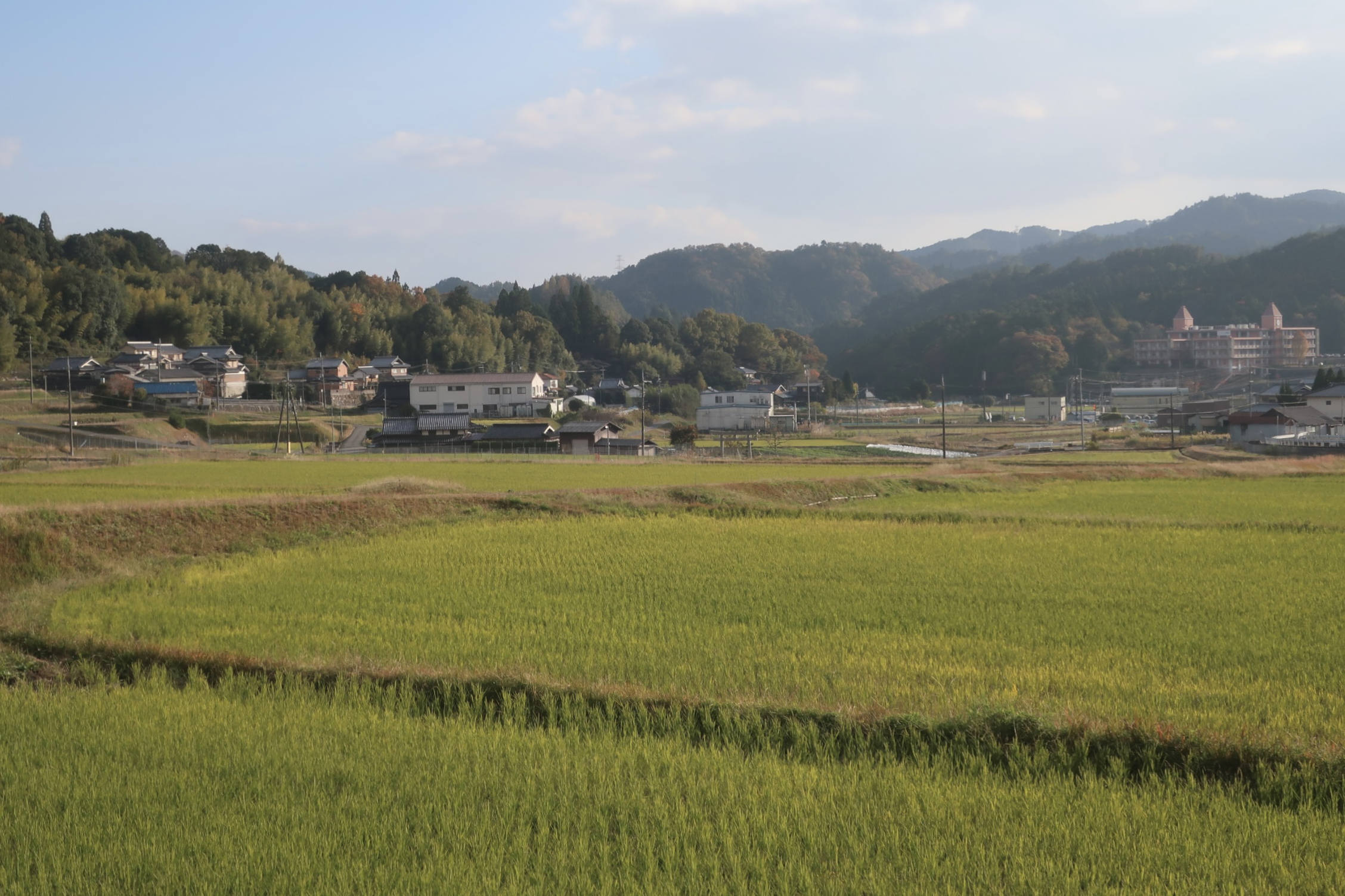 〈隣町点描#6〉樫田（大阪府高槻市）　標高300m超 府境の里で楽しむ秋